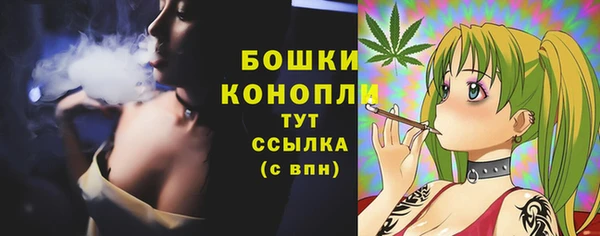 стафф Богданович
